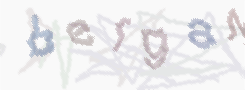 CAPTCHA Bild zum Spamschutz 